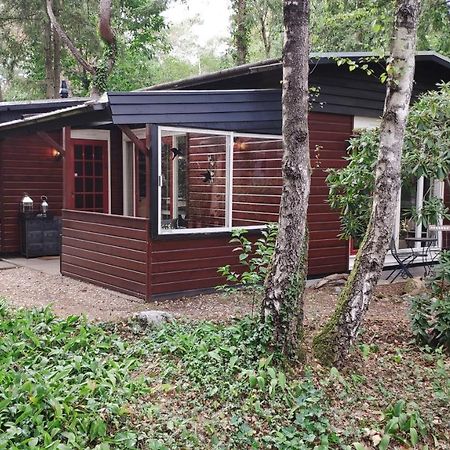 Bosbungalow De Eekhoorn Nunspeet Eksteriør billede