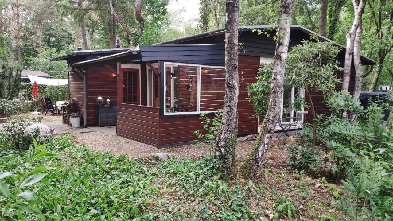Bosbungalow De Eekhoorn Nunspeet Eksteriør billede