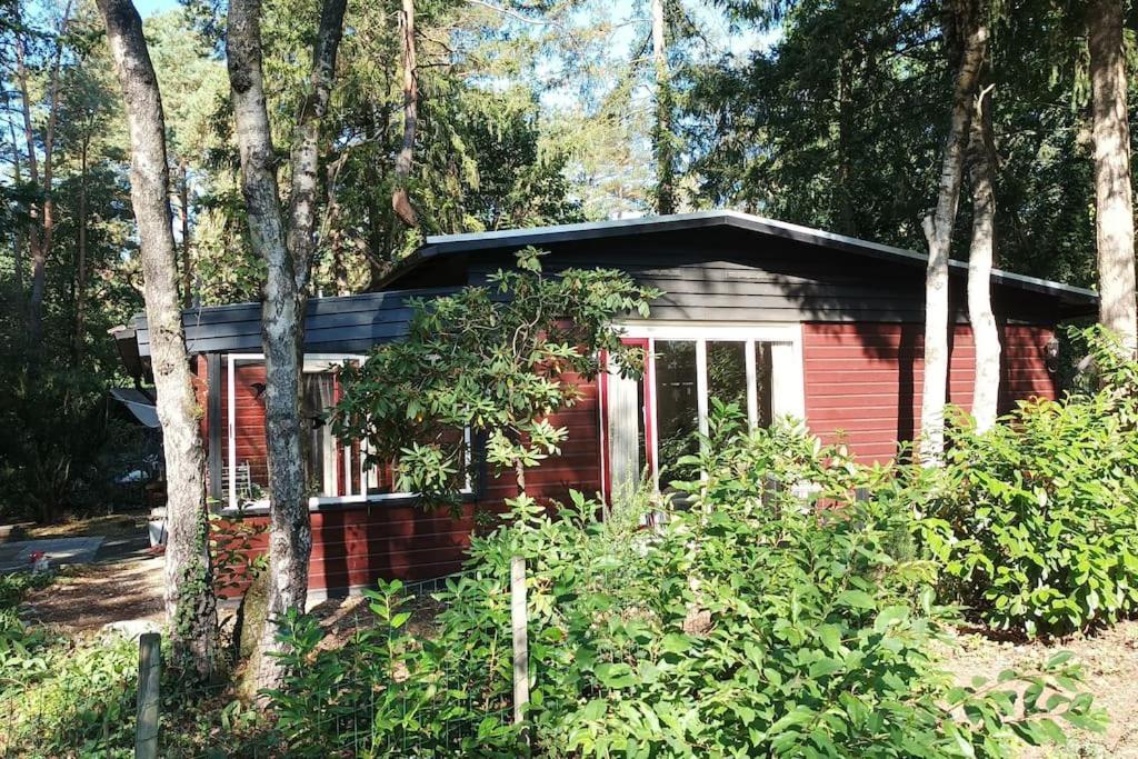 Bosbungalow De Eekhoorn Nunspeet Eksteriør billede