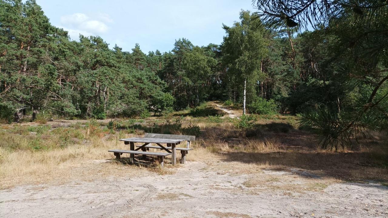 Bosbungalow De Eekhoorn Nunspeet Eksteriør billede