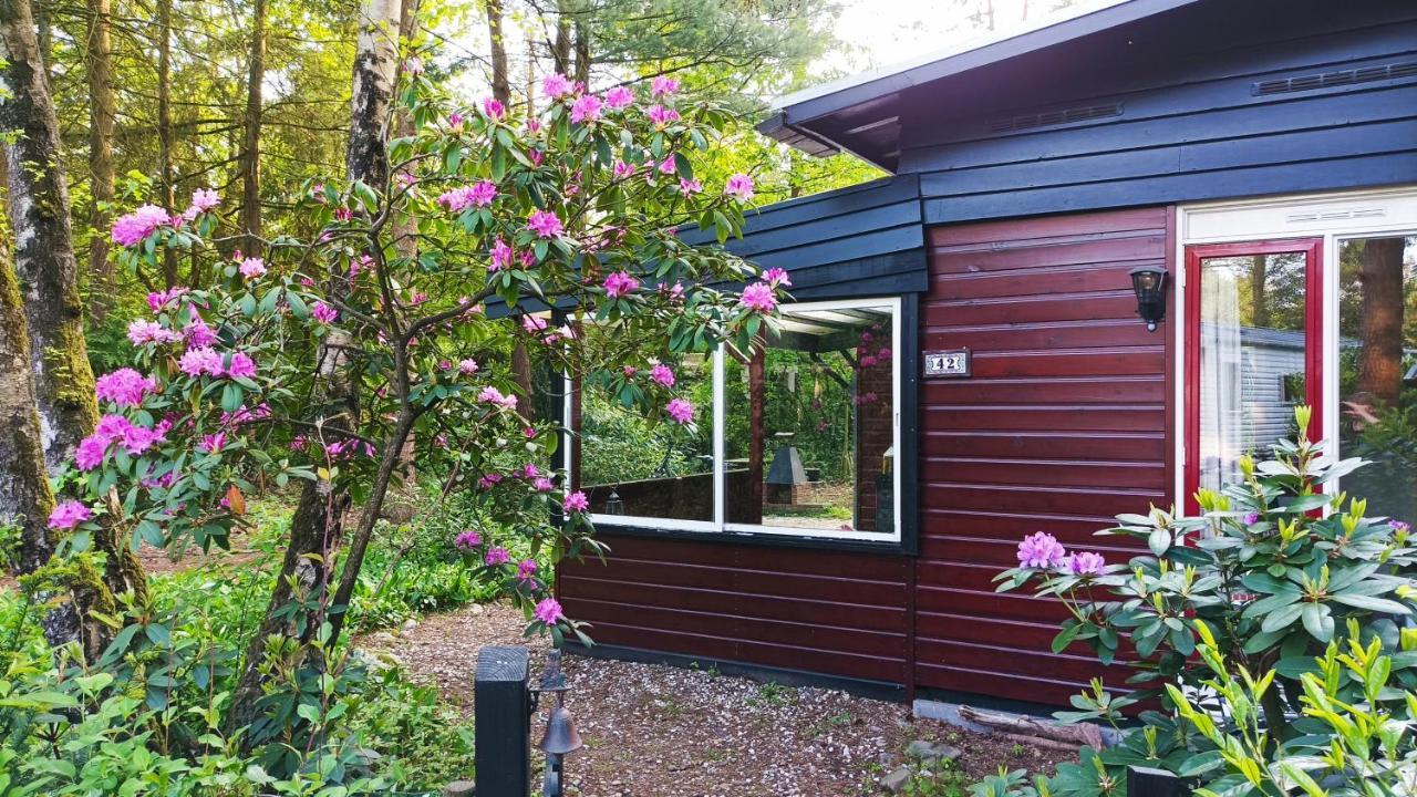 Bosbungalow De Eekhoorn Nunspeet Eksteriør billede
